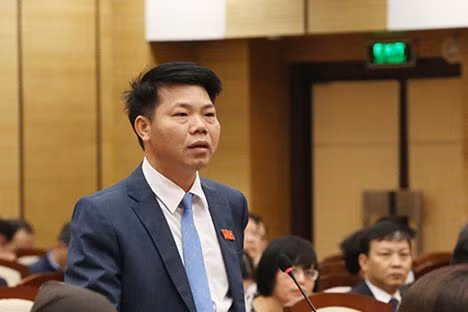 Chưa xét tư cách đại biểu HĐND với Bí thư Hà Đông vừa bị cảnh cáo - 1