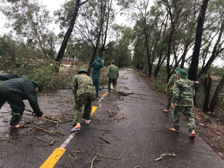 Ảnh cây xanh gãy đổ tại huyện Hải Lăng, tỉnh Quảng Trị