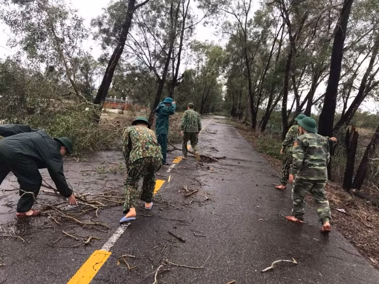 Ảnh cây xanh gãy đổ tại huyện Hải Lăng, tỉnh Quảng Trị