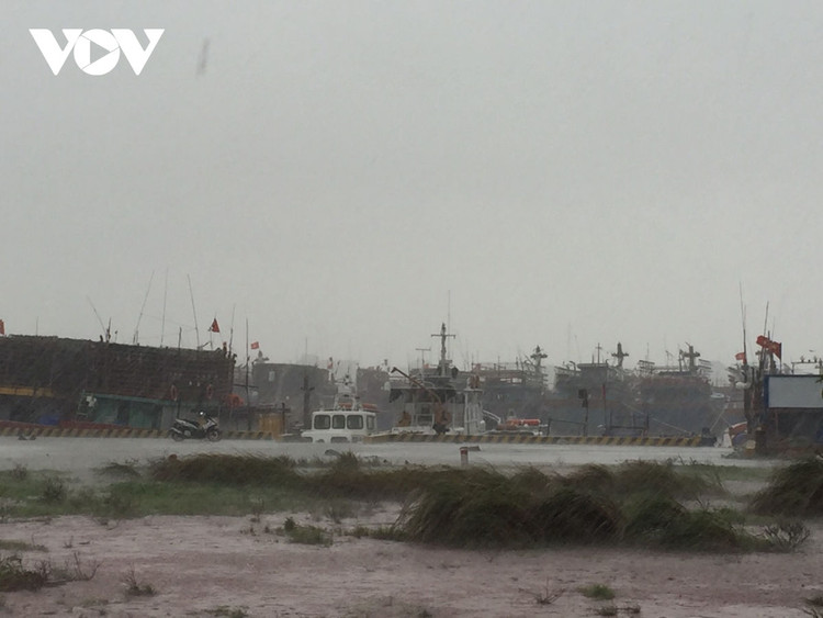 Cập nhật: Bão số 13 cuốn bay mái trường học, "nhổ" bật gốc cây, cuốn trôi nhà dân ảnh 20