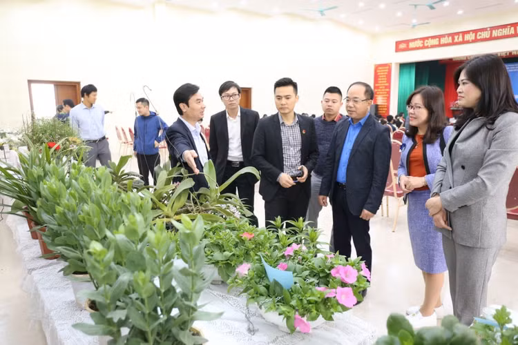 Các đại biểu tham quan mô hình trưng bày tại hội thảo 