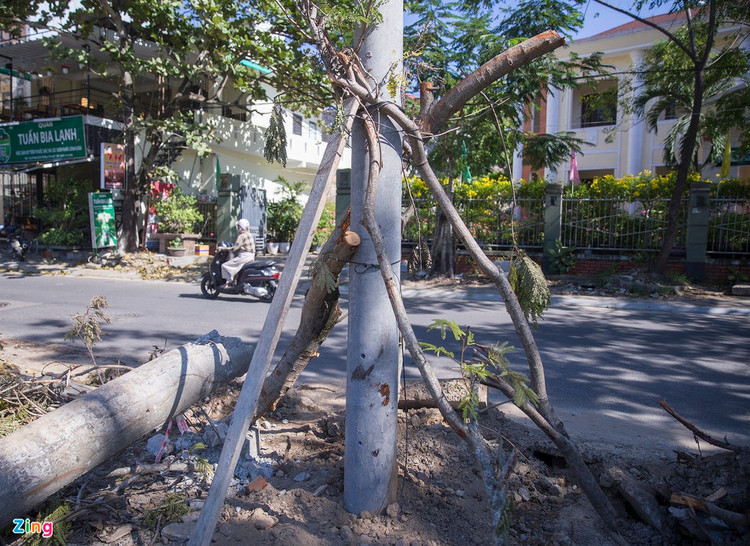 Lanh dao Thua Thien - Hue noi ve viec cot dien gay hang loat anh 2