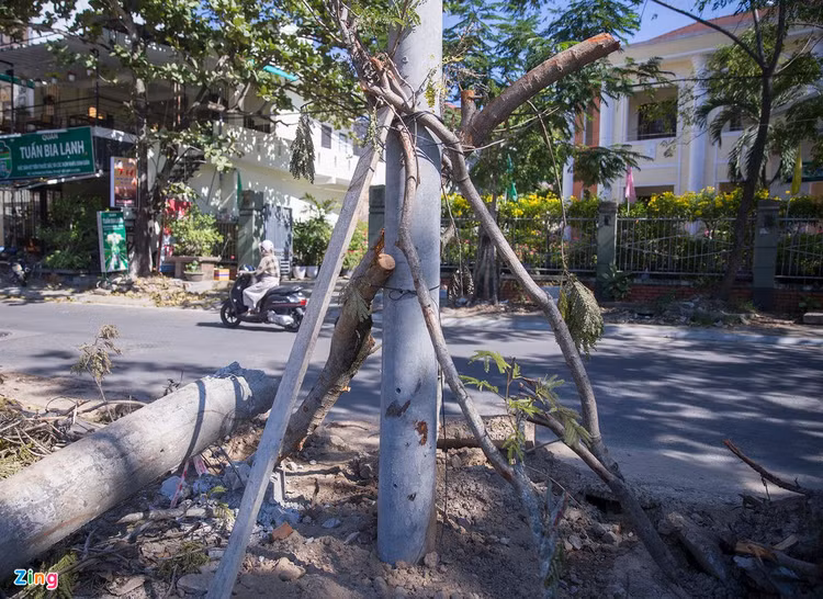 Lanh dao Thua Thien - Hue noi ve viec cot dien gay hang loat anh 2