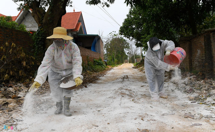 Rai voi, khu trung khi dich cum A/H5N6-xuat-hien-hinh-anh-2-2_H5N6_Chuong_My_zing22.jpg