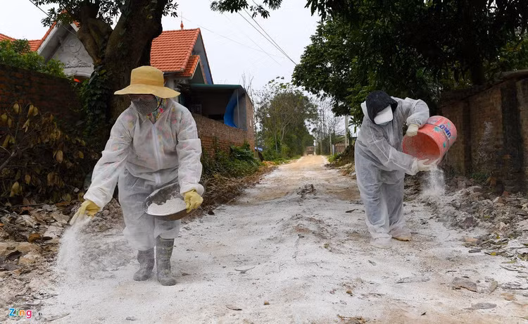 Rai voi, khu trung khi dich cum A/H5N6-xuat-hien-hinh-anh-2-2_H5N6_Chuong_My_zing22.jpg