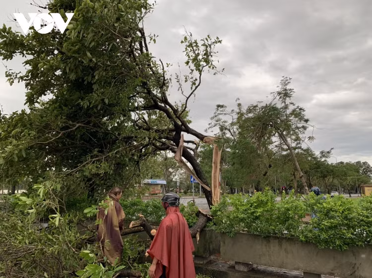 Cập nhật: Bão số 13 cuốn bay mái trường học, "nhổ" bật gốc cây, cuốn trôi nhà dân ảnh 33