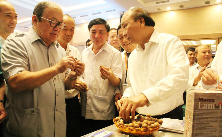 Thủ tướng: Mắc ca là cây xóa đói giảm nghèo, cây làm giàu! - 1