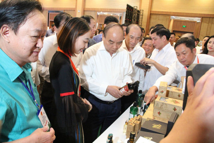 Thủ tướng: Mắc ca là cây xóa đói giảm nghèo, cây làm giàu! - 2