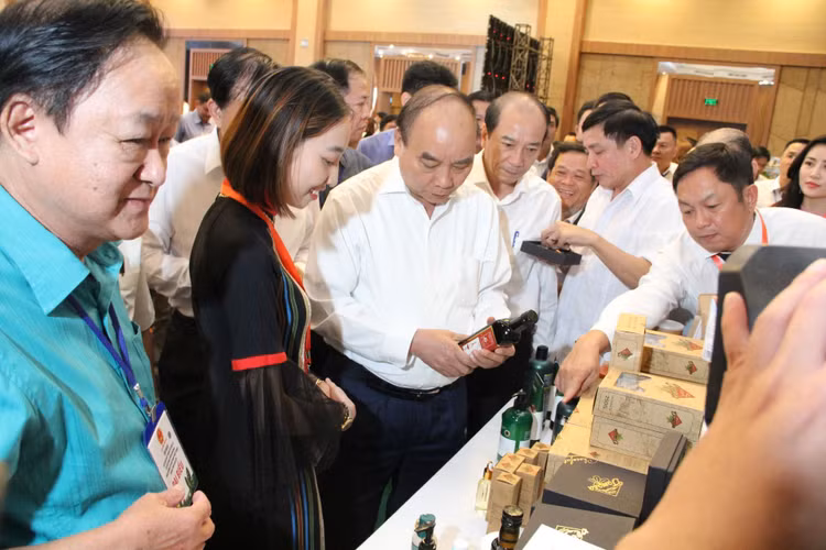 Thủ tướng: Mắc ca là cây xóa đói giảm nghèo, cây làm giàu! - 2