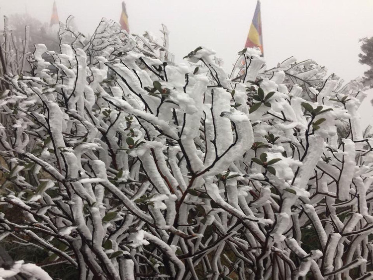 ret dam ret hai o mien Bac anh 1