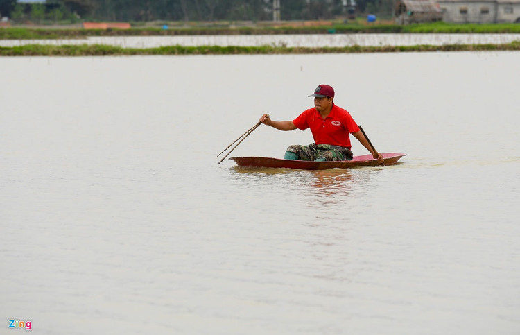 Rai voi, khu trung khi dich cum A/H5N6-xuat-hien-hinh-anh-5-5_H5N6_Chuong_My_zing19.jpg