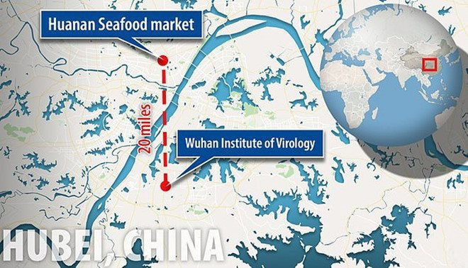 Bản đồ cho thấy khoảng cách giữa chợ hải sản bùng phát dịch bệnh và phòng thí nghiệm Vũ Hán