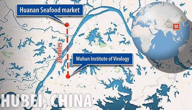 Bản đồ cho thấy khoảng cách giữa chợ hải sản bùng phát dịch bệnh và phòng thí nghiệm Vũ Hán