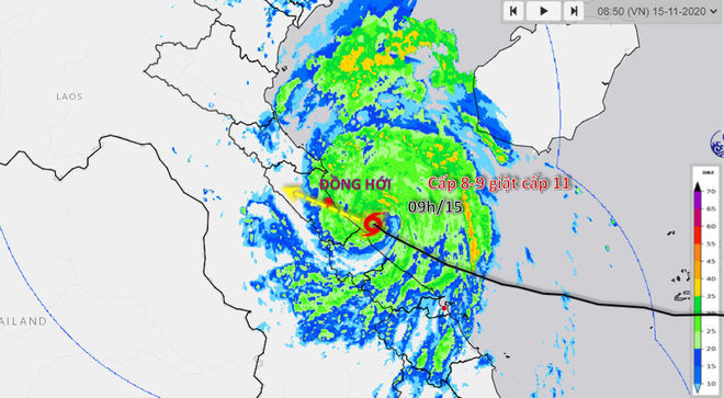 bao Vamco do bo vao mien Trung anh 28