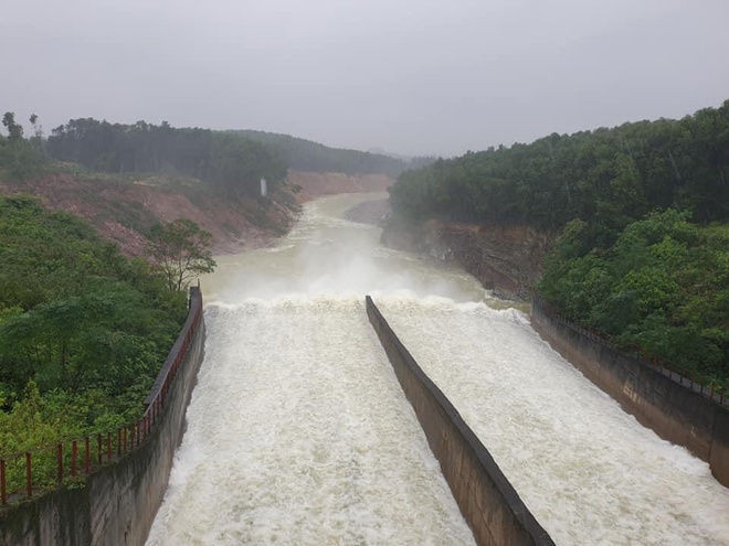 bao Vamco do bo vao mien Trung anh 60