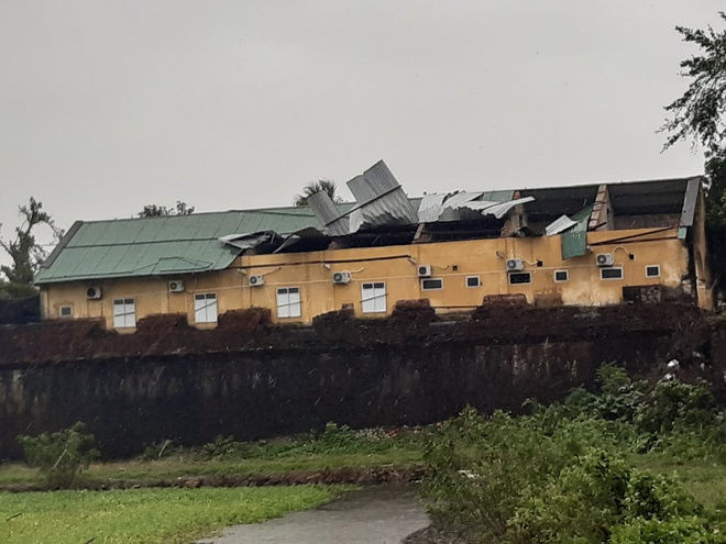 bao Vamco do bo vao mien Trung anh 23