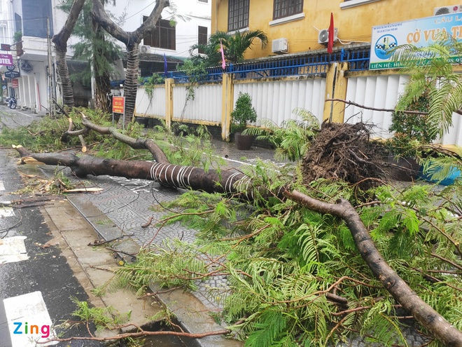 bao Vamco do bo vao mien Trung anh 18