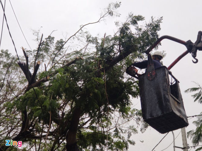 bao Vamco do bo vao mien Trung anh 39