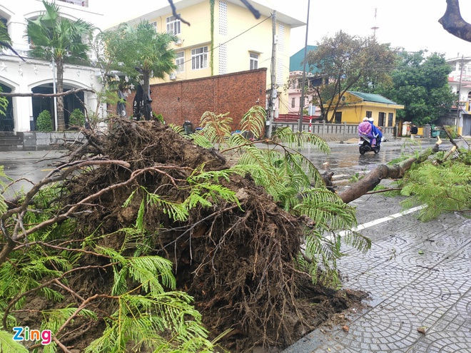 bao Vamco do bo vao mien Trung anh 17