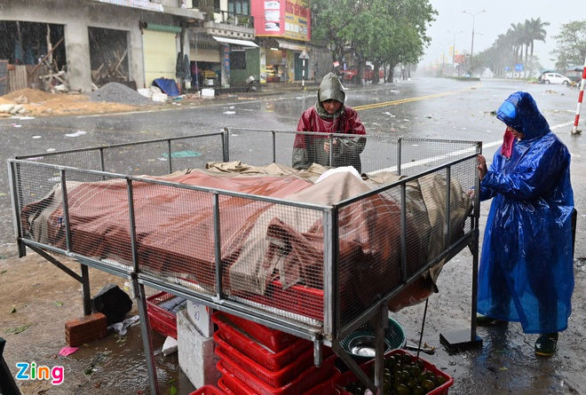bao Vamco do bo vao mien Trung anh 43