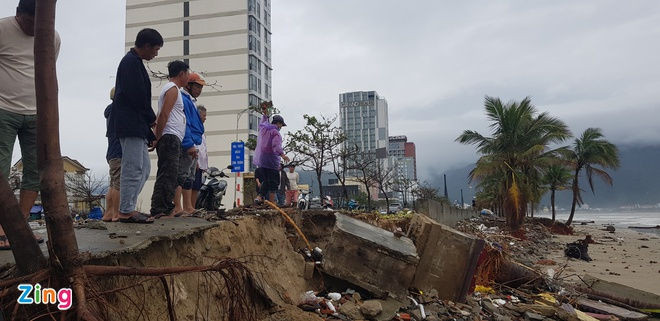 bao Vamco do bo vao mien Trung anh 25