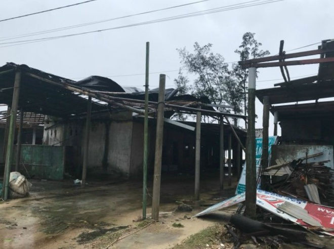 bao Vamco do bo vao mien Trung anh 50