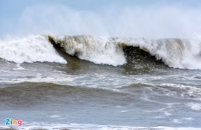 bao Vamco do bo vao mien Trung anh 3