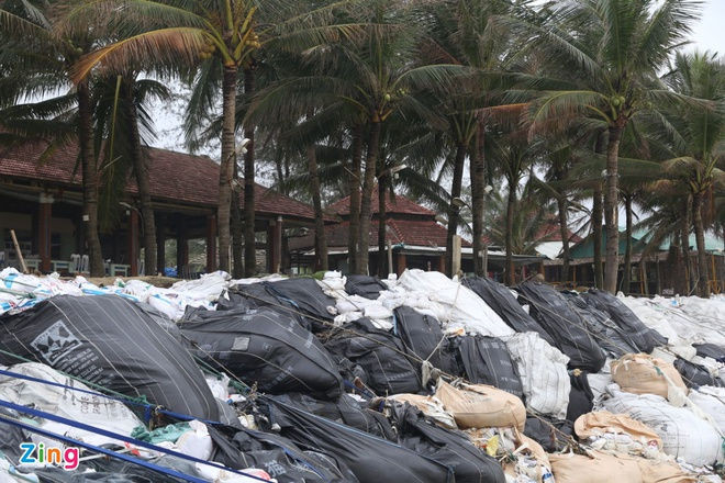 bao Vamco do bo vao mien Trung anh 57