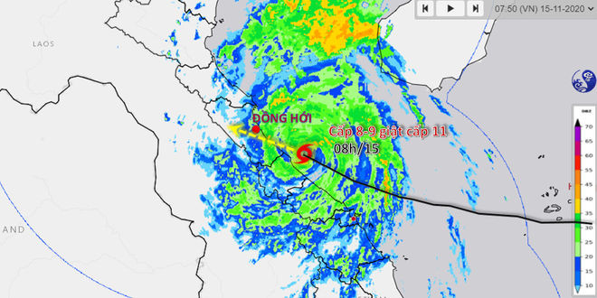 bao Vamco do bo vao mien Trung anh 12