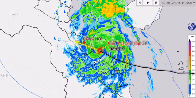 bao Vamco do bo vao mien Trung anh 12