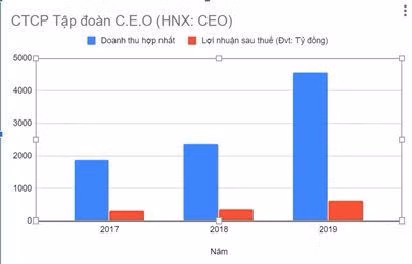 Năm 2019 được đánh giá là năm nhiều thành công của Tập đoàn CEO với kết quả kinh doanh tăng trưởng ấn tượng.