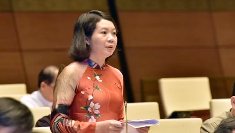 Đại biểu Mai Thị Phương Hoa, Nam Định