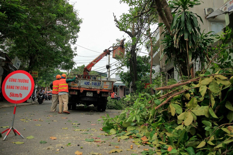 Người miền Trung chằng chống nhà cửa tránh bão Molave ảnh 9