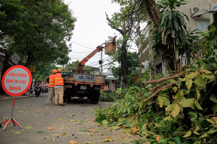 Người miền Trung chằng chống nhà cửa tránh bão Molave ảnh 9