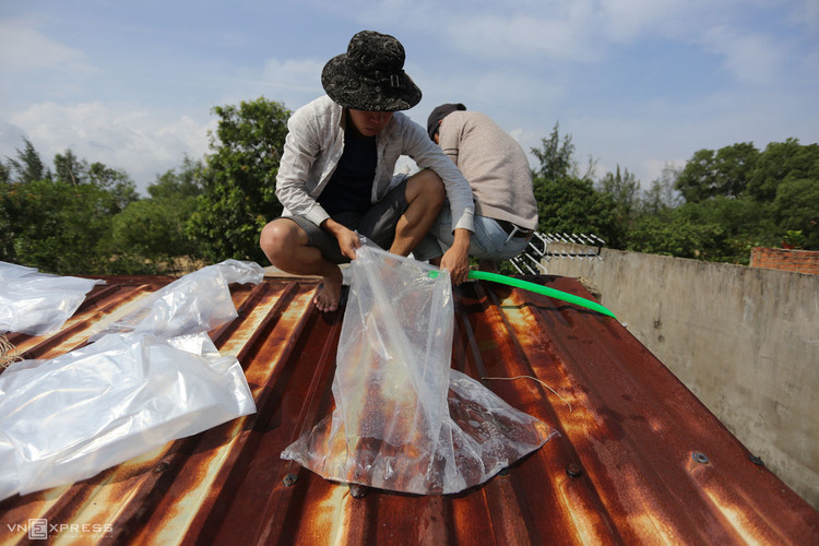 Người miền Trung chằng chống nhà cửa tránh bão Molave ảnh 3