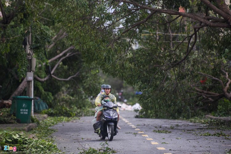 bao so 9 vao Quang Ngai anh 8