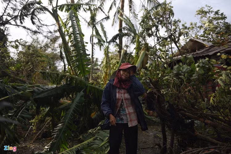 bao so 9 vao Quang Ngai anh 1