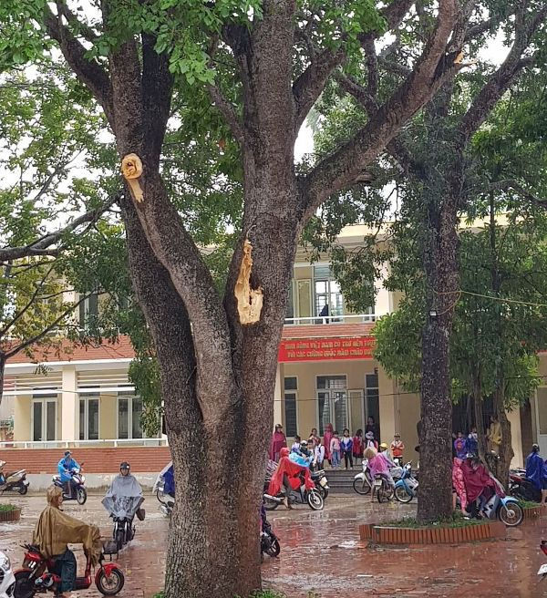 Thanh Hóa ra công điện khẩn lệnh cấm biển từ 19h ngày 13/11 - 3