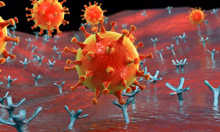 Bộ trưởng Y tế thông tin về biến chủng SARS-CoV-2 nguy hiểm tại Anh - 3