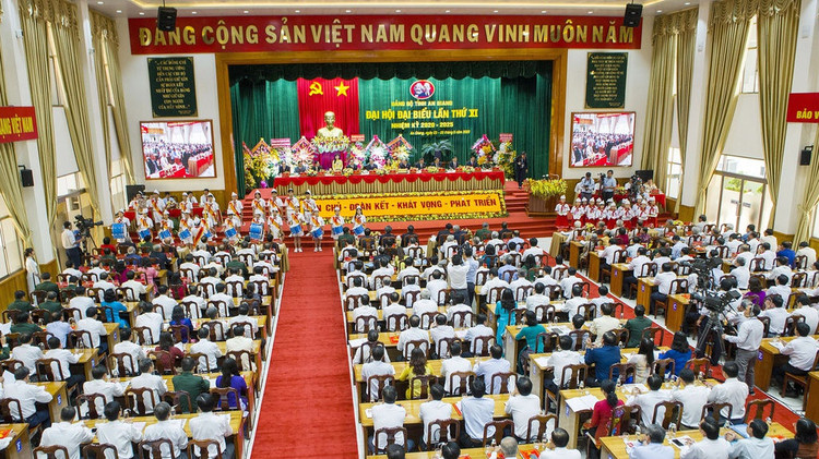 Dai hoi Dang bo tinh An Giang anh 4