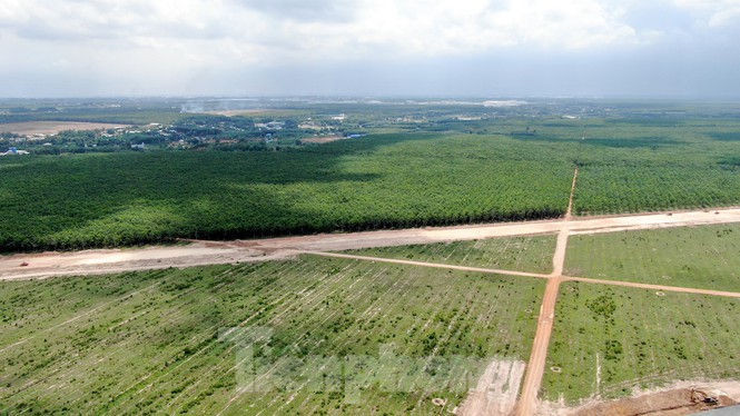 Cận cảnh khu tái định cư sân bay Long Thành rộng 280 ha - ảnh 16