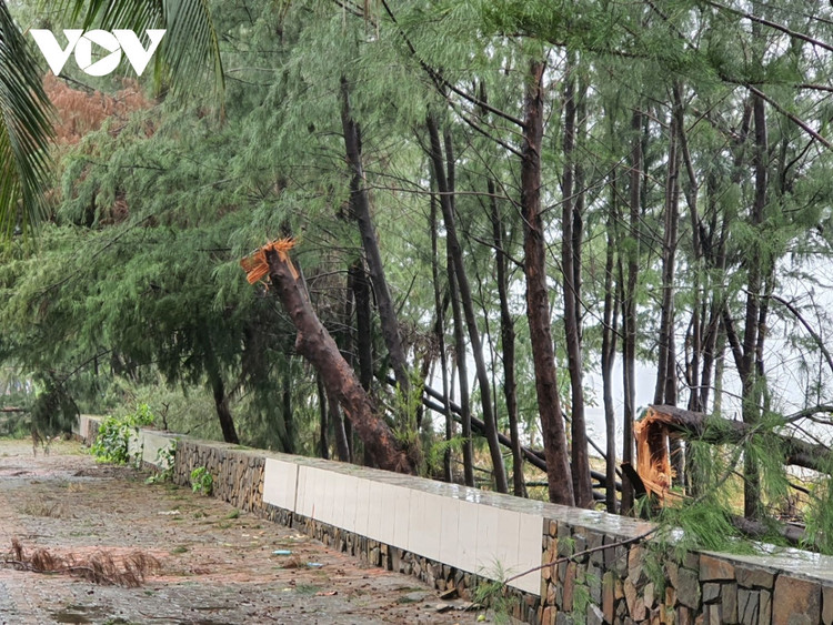 Cập nhật: Bão số 13 cuốn bay mái trường học, "nhổ" bật gốc cây, cuốn trôi nhà dân ảnh 46