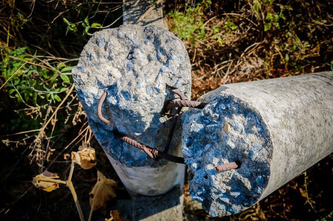 Cảnh hoang tàn tại trung tâm giống chăn nuôi gần 20 tỷ đồng - ảnh 3