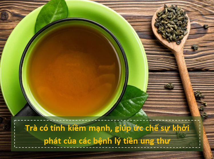 Những sự thật bất ngờ về khả năng chống ung thư của nước trà - 5