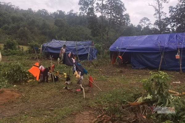 Núi lở, lũ ngập nhà, dân bản Quảng Bình ra sườn đồi trú trong lều bạt