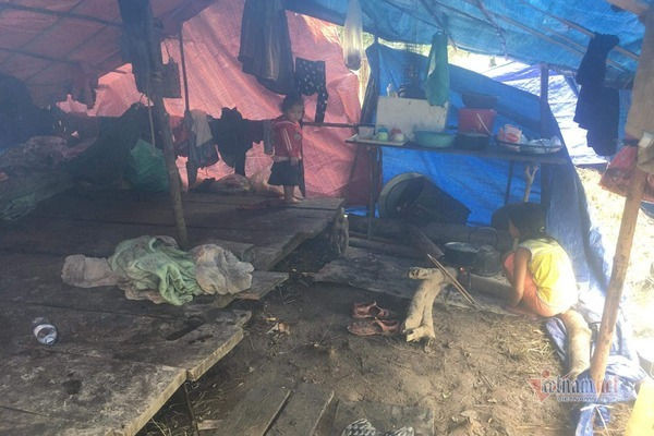 Núi lở, lũ ngập nhà, dân bản Quảng Bình ra sườn đồi trú trong lều bạt