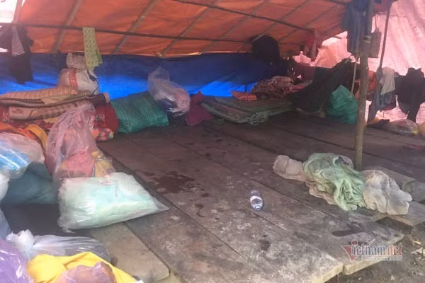 Núi lở, lũ ngập nhà, dân bản Quảng Bình ra sườn đồi trú trong lều bạt