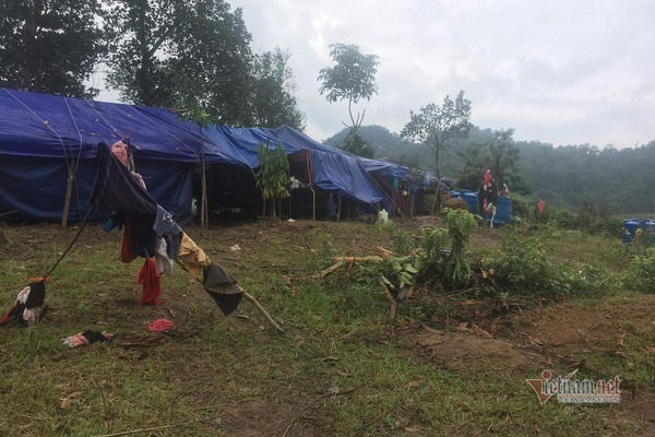 Núi lở, lũ ngập nhà, dân bản Quảng Bình ra sườn đồi trú trong lều bạt