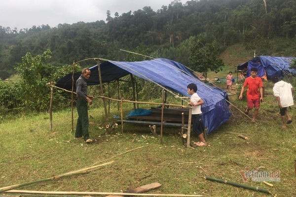 Núi lở, lũ ngập nhà, dân bản Quảng Bình ra sườn đồi trú trong lều bạt