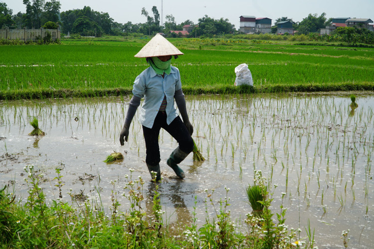 Xe chở rác tấp nập chạy “xuyên màn đêm” sau 4 ngày ùn ứ tại Hà Nội - 6